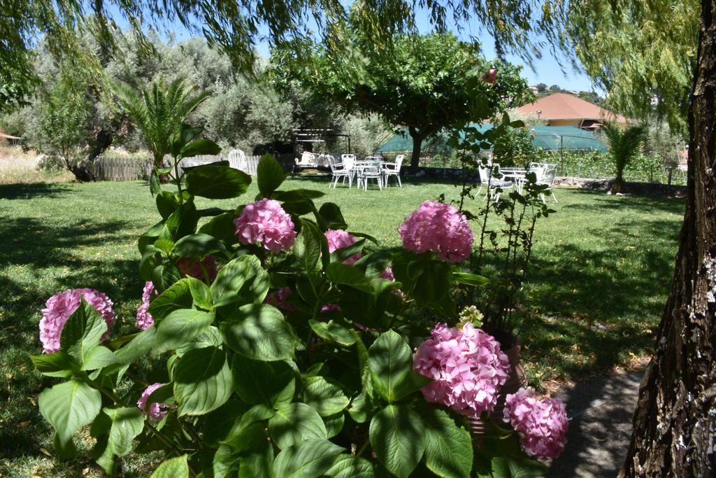 Studio Kostas Hotel Asprogerakata Buitenkant foto